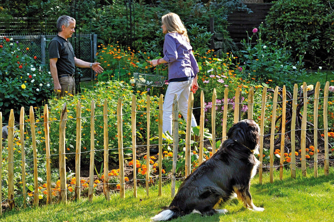 Ambiente mit ROLLO-Lattenzaun